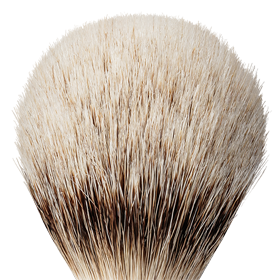 Silberspitz Dachshaar